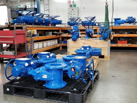 Limitorque MX - 100 MX - 85 MX - QX Electric Actuator ทำงานร่วมกับ Flowserve Valve