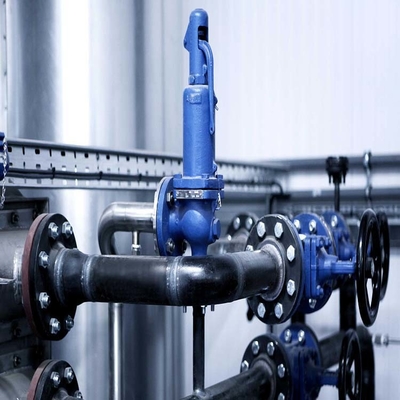 Spirax Sarco Disc Check Valves และ Sanitary Check Valve with Pump Trap