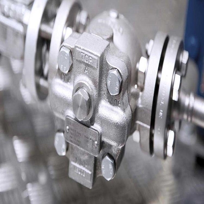 Spirax Sarco Disc Check Valves และ Sanitary Check Valve with Pump Trap