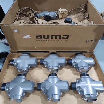 การควบคุมการไหล Valve Skid มีอุปกรณ์ประกอบการ Auma วาล์ว SQEx และ SQRV ประกอบการไฟฟ้ากันระเบิด