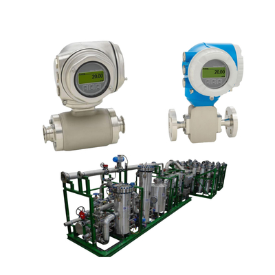 อุปกรณ์จีนที่ติดอยู่บนสกิ๊ด E+H Endress + Hauser Proline Promag H 300 เครื่องส่งแม่น้ําแม่เหล็กไฟฟ้า