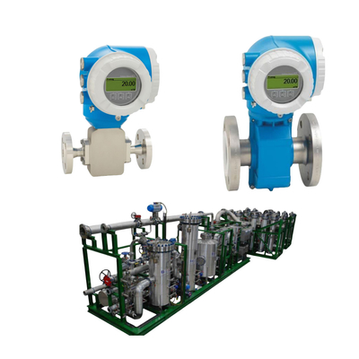 อุปกรณ์จีนที่ติดอยู่บนสกิ๊ด E+H Endress + Hauser Proline Promag H 300 เครื่องส่งแม่น้ําแม่เหล็กไฟฟ้า