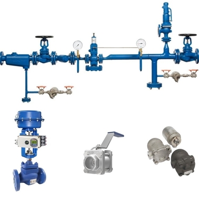 Spirax Sarco Control Ball Valve พร้อมเครื่องตั้งตําแหน่ง ABB และ Spirax Steam Trap สําหรับท่อ