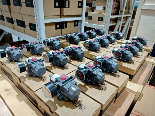 Fisher 67CFR กรองกรองปรับความดัน 450 psig