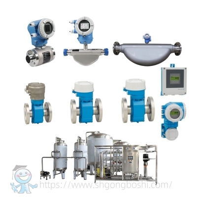 เครื่องวัดอัตราการไหลแบบสุขาภิบาล E+H Proline Promag P 300 P 500 Endress Hauser Food Grade Electromagnetic Flow Meter