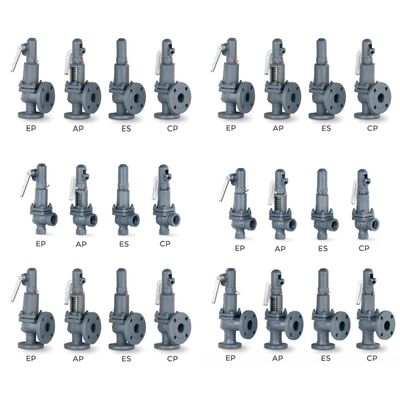 วาล์วระบายแรงดัน VYC Industrial AIT 485 486 494 495 496 596 696 วาล์วนิรภัยแบบเปิดเต็มที่พร้อมสปริงอัด