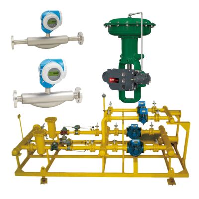Promass F300 Coriolis Mass Flowmeter สําหรับการควบคุมกระบวนการอาหารและน้ํามันเคมี