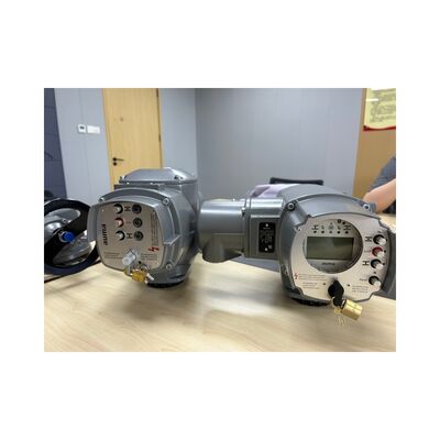 AUMA SA Series Complete Electric Valve System with IP68 for Globe Valve Automation