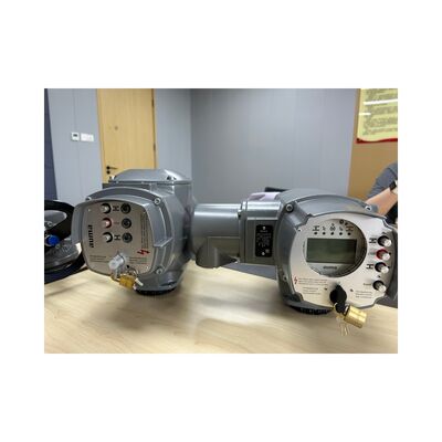 AUMA SA Series Electric Multi-Turn Actuator with Valve Assembly for Globe Valves