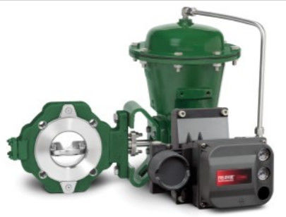 Fisher easy e EZ Control Valve ในงานแปรรูปทางเคมีหรือไฮโดรคาร์บอนและวัสดุใน Carbon Steel, Stainles