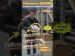 Flowserve 3200MD วัลล์ฟตําแหน่ง
