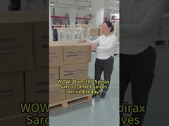 คุณคิดว่า Spirax Sarco เป็นอะไรบ้าง?